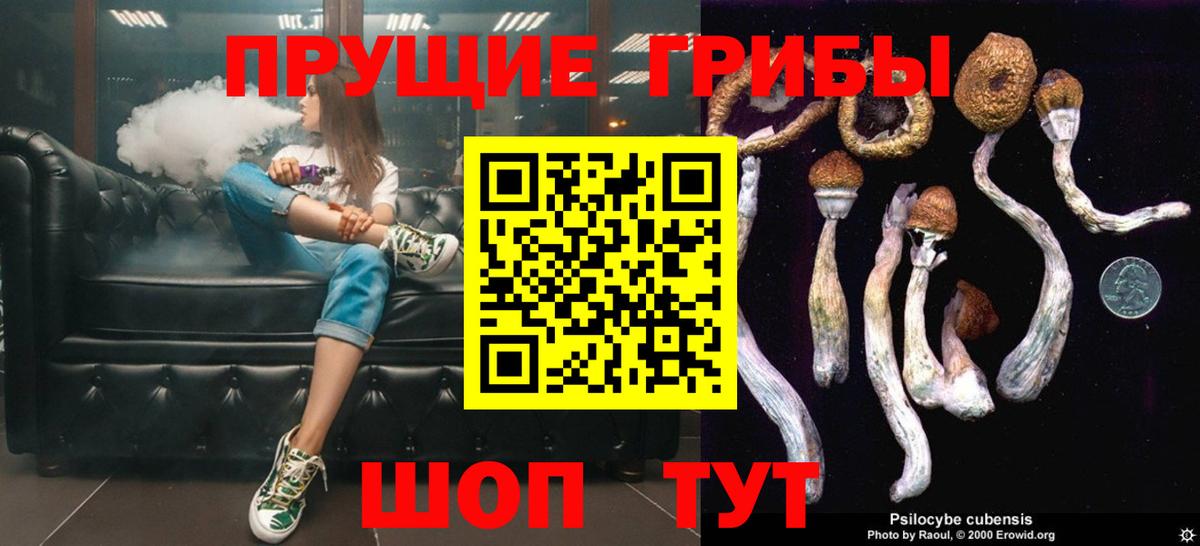 Псилоцибиновые грибы Magic Shrooms  Псилоцибиновые грибы Magic Shrooms  Вход с VPN  Каменск-Шахтинский 